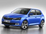 Skoda Fabia 2014 года (WW)